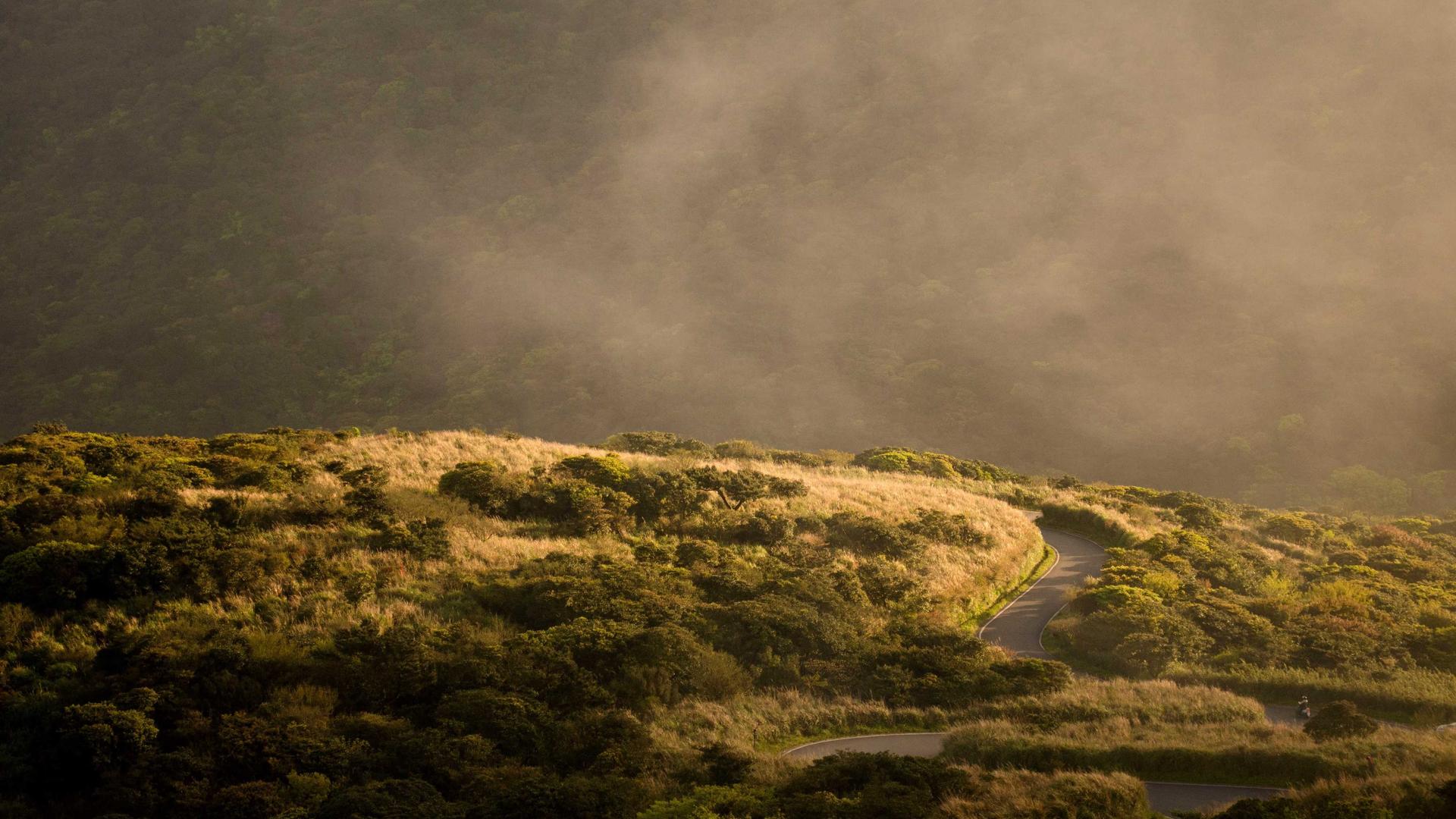 Why Your Morning Walk Beats Another Coffee